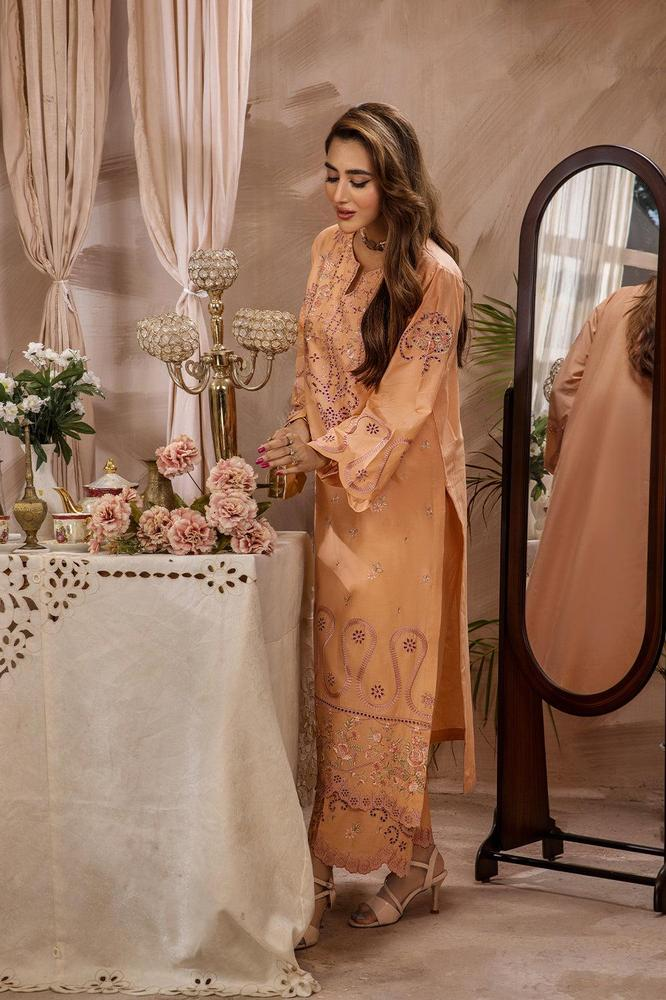 2 Pcs Embroidered Lawn Pret Suit